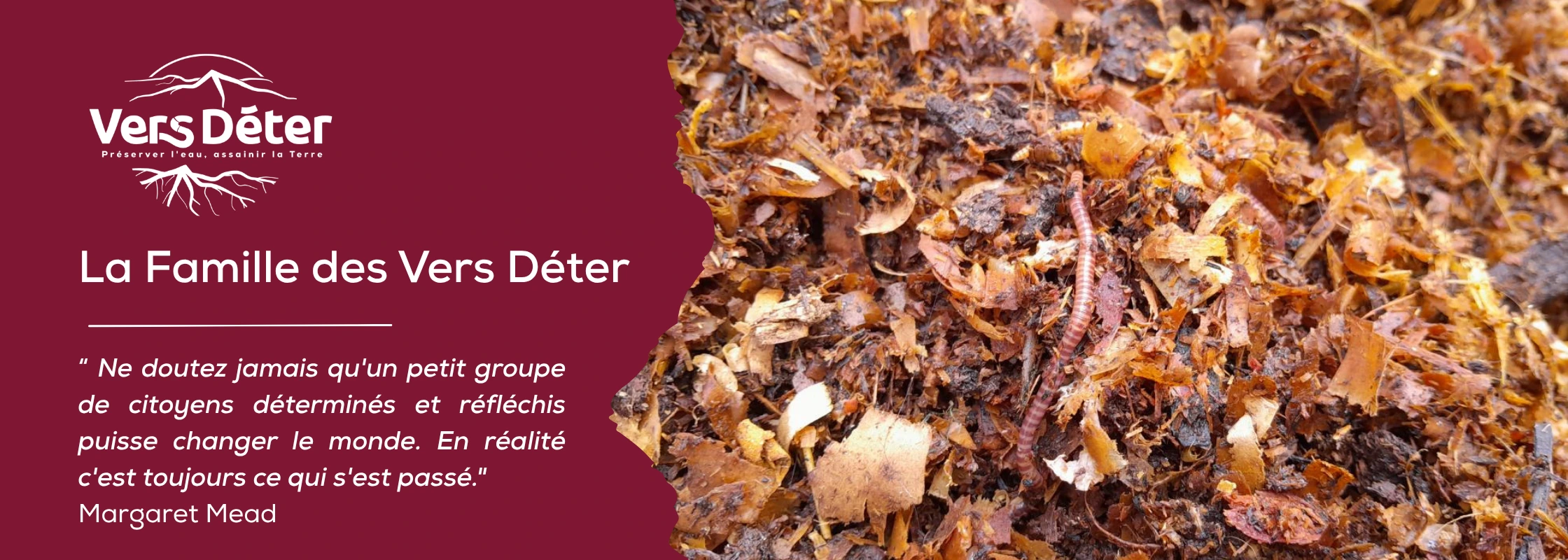 Bannière la Famille des Vers Déter
