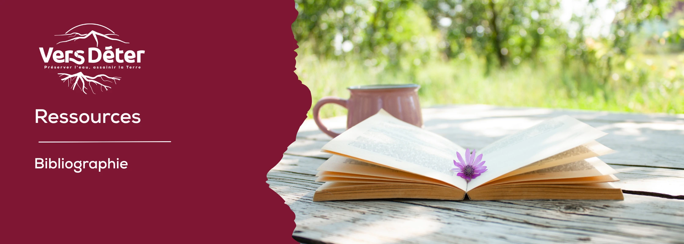 Bannière Ressources bibliographie